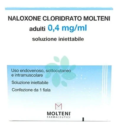 Molteni Naloxone Clor MOLT*F 0,4mg 1ml Farmaci